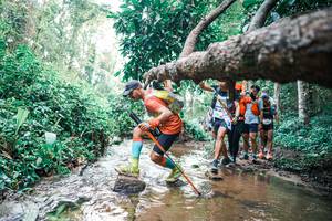 BIB: 
                            <button type="button" onclick="openModal(25372117)" class="btn btn-primary btn-sm float-right btn-popup" data-toggle="modal" data-target=".modal-high-quality">
                        <i class="fas fa-shopping-cart"></i> Add to Cart
                    </button>
                                            <button type="button" onclick="isThisMe(25372117, true)" class="btn btn-success btn-sm float-right btn-popup btn-isme hidden" data-toggle="tooltip" data-placement="bottom" title="นี่คือรูปของคุณใช่ไหม คลิกที่นี่เพื่อเอาเข้าอัลบั้ม">
                        <i class="fas fa-plus"></i> Add to album
                    </button>
                    <button type="button" onclick="isThisMe(25372117, false)" class="btn btn-warning btn-sm float-right btn-popup btn-isnotme hidden">
                        <i class="fas fa-ban"></i> Remove from album
                    </button>